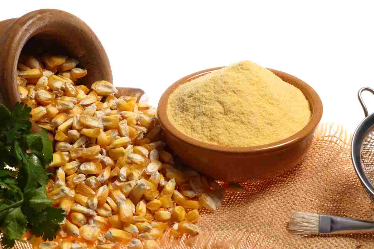 farina e chicci di mais