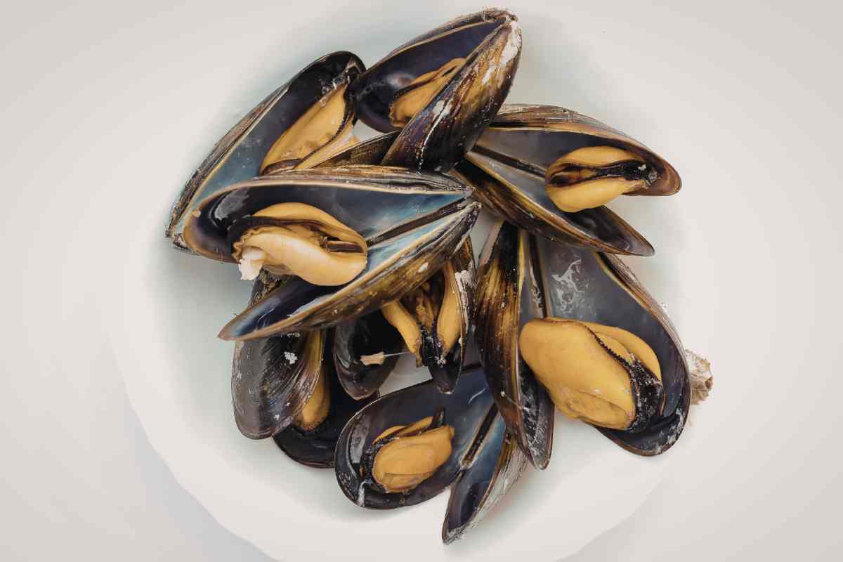 cozze aperte in un piatto
