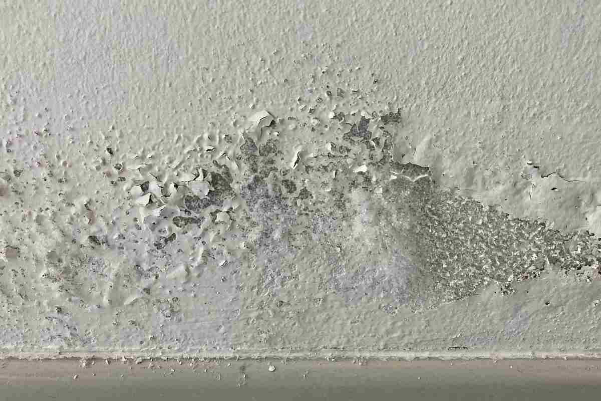 muri di casa umidi