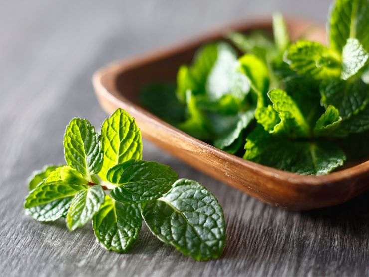 foglioline di menta